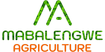 Mabalengwe Agriculture Logo